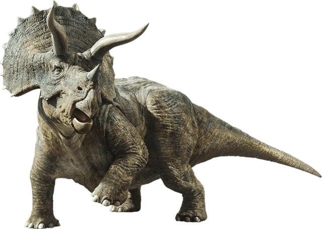Neo Jurassic era part 6 Triceratops and Herrerasaurus | Fandom