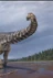 Titanosaur Patagotitan mayorum & Oculudentavis's avatar