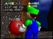 Bob-omb NPC appearing post-game.