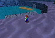 The pool in the open area.