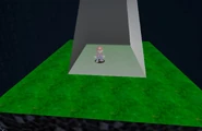 Mario ends up at the top of the cave.
