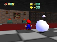 The library section.