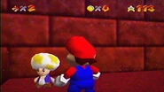 Mario near the Star Toad.