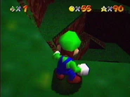 Luigi peering into the depths of the summit.