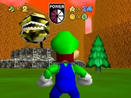 Luigi turned his gaze away from the golden statue.