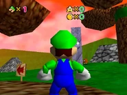 The land on the left side of the river.