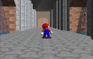 Mario in the bathroom.