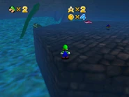 Luigi standing atop this area's only platform.