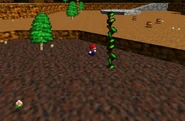 The crop Mario planted by collecting one of the secrets.