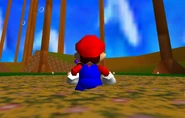 Mario in the woods.