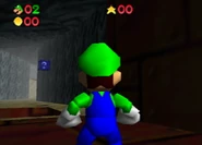 A view of Scary Sewer Maze.