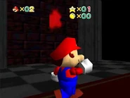 Video guide of the area.