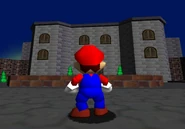 Peach’s castle…?