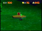 The floating flowerbed in the nighttime variant of Bob-omb Battlefield (beta).