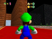 Vanishcapwithintheplexus5.jpg (107 KB) The main area.