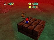 The larger forest section.