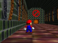 Door to Bowser's Castle and Captain Fly Guy's Tower.