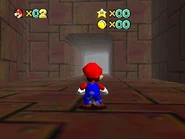 The surface section.