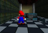 The statue that warps to Tubular Lobby (Basement Section.)