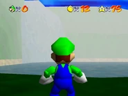 The waterfall and lake.