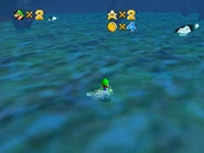 Two Manta Rays diving into the ground, never to be seen again. It's unknown whether the player can obtain a star from one of them before they start descending.