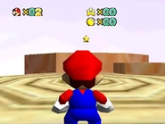 The top of the trunk that has the star.