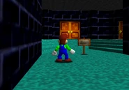 The sign and the doors to Twisted Purple Hallway