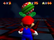 Fighting the Piranha Plant.