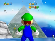 The top of the mountain. (the platform on the left of Luigi leads to Funhouse)