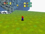 The star out in the open (grassy state).