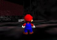 Scaffolding section.