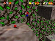 Mario climbs the vine wall.