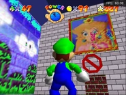 Bowser'sFloorWTF.png (1.2 MB) Nice looking Peach painting.