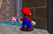 Peeping Mario.