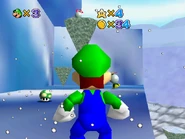 1-UP Mushroom on the way up.