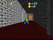 Upstairs hallway with an open trapdoor and Peach painting, neither of which lead anywhere.