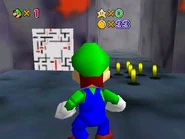 The beginning of the maze.