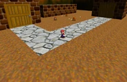 Mario stands between the houses.