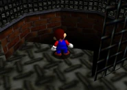 Mario gazes into the abyss.