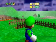 Luigi needed some fresh air out of the castle.