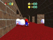 Bowserslobby3.jpg (91 KB) The boo hallway.