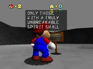 The sign in front of the hole.