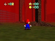 The small forest section.