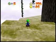 SGS1.png (826 KB) Hanging vines.