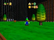 0.2vanishtrees.png (198 KB) Various caged trees.