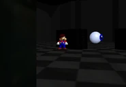 Better not catch his eye.