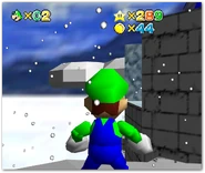 Luigi looking at a green star he just found.