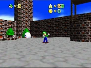 Luigi standing next to the well.