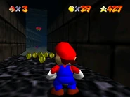 The tunnel leading up to the nest.