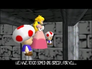 0.5.6ending2.png (112 KB) Princess Peach considers doing something special.